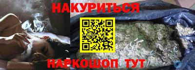 прущие грибы Будённовск