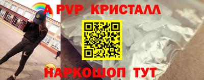 прущие грибы Будённовск