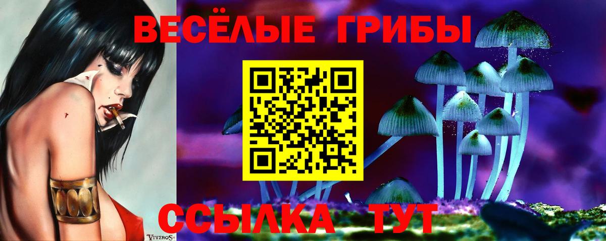 Псилоцибиновые грибы Psilocybine cubensis Усолье-Сибирское